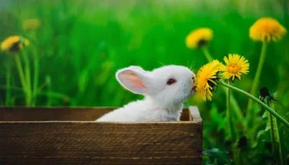 宁波医保现金报销多久到账的最新政策(2025年宁波医保报销的钱是现金还是打卡分享)